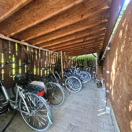 Jedynak 3*