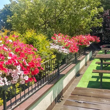 Jedynak Bed & Breakfast